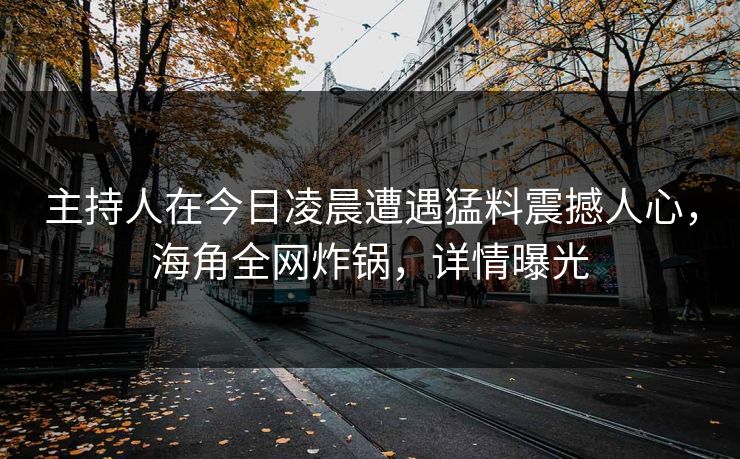 主持人在今日凌晨遭遇猛料震撼人心，海角全网炸锅，详情曝光