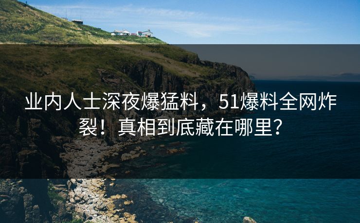 业内人士深夜爆猛料，51爆料全网炸裂！真相到底藏在哪里？