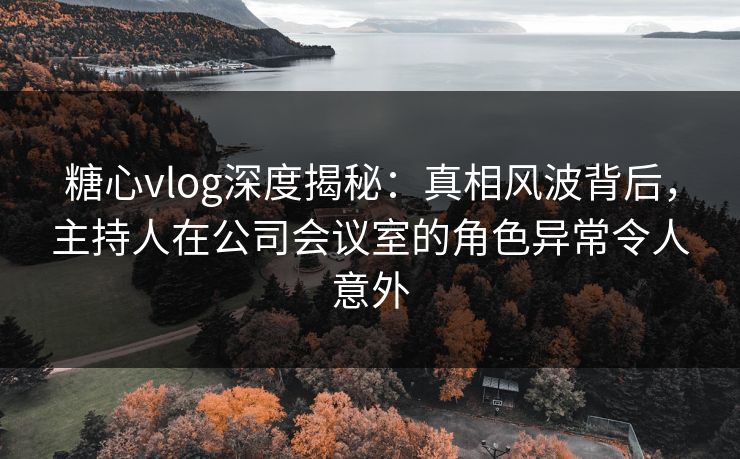 糖心vlog深度揭秘：真相风波背后，主持人在公司会议室的角色异常令人意外