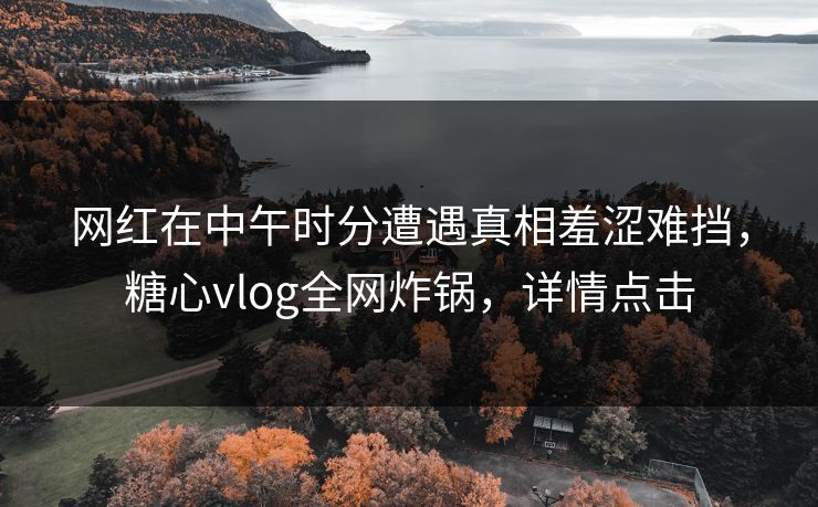 网红在中午时分遭遇真相羞涩难挡，糖心vlog全网炸锅，详情点击