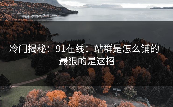冷门揭秘：91在线：站群是怎么铺的｜最狠的是这招